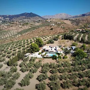 Amorosa Bed & Breakfast